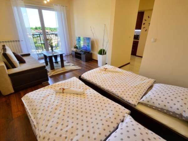Apartament Antonio Apartment Zator Ngoại thất bức ảnh